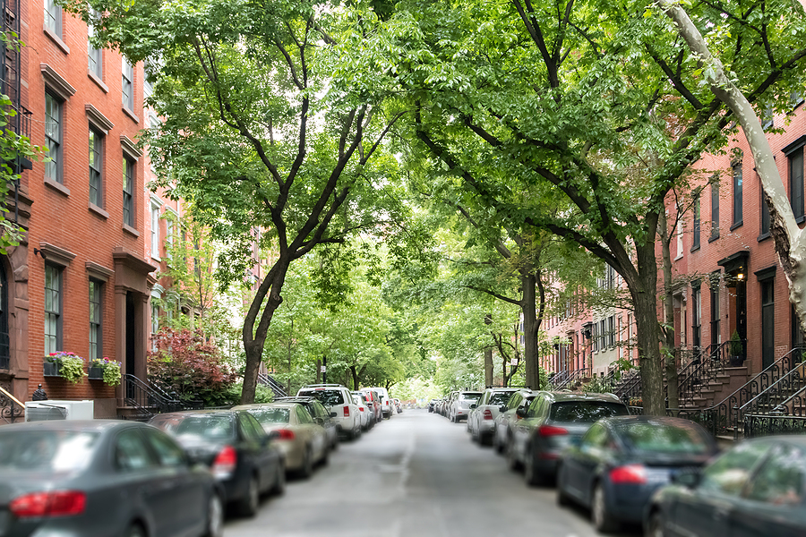 There are over 5 million trees throughout the five boroughs. Oddly enough, the Bronx is toward the bottom of the list in terms of amount of trees per square mile