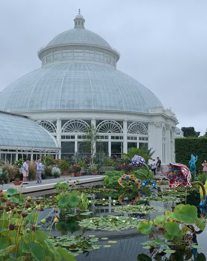 The New York Botanical Garden! 🌸🌳🌼🌿 One of the most special places in the Bronx.