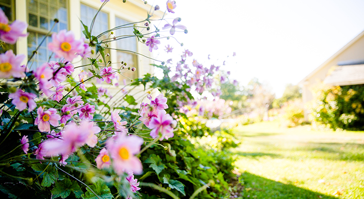 The spring season appears to be warming up in housing as more and more buyers enter the market. And after rising mortgage rates sidelined so many buyers last year, that’s a good sign for sellers.