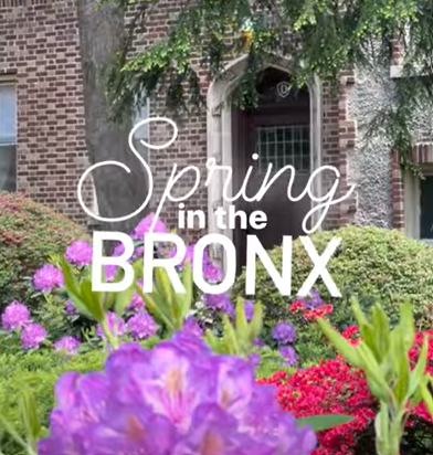 As the weather begins to warm up and the days get longer, it's time to start thinking about all the fun activities that the Spring season has to offer. If you're looking for things to do in the Bronx this Spring, you're in luck! From outdoor adventures to cultural events, the Bronx has something for everyone.
