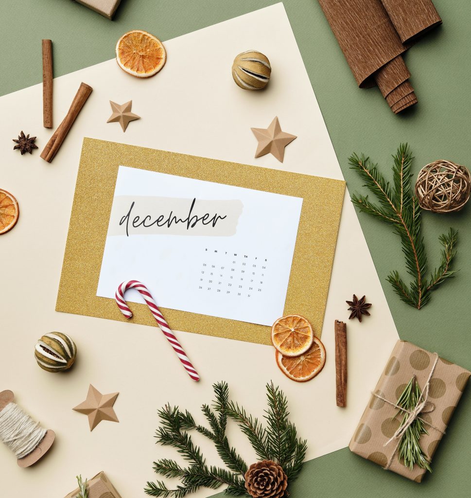 Check out the list of festivals and events in the Bronx in December 2023!