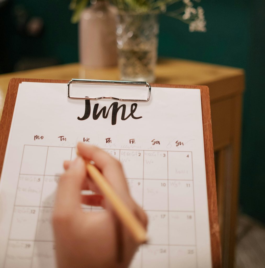 Check out the list of festivals and events in the Bronx in June 2024!