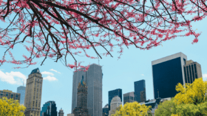 HOME MAINTENANCE CHECKLIST