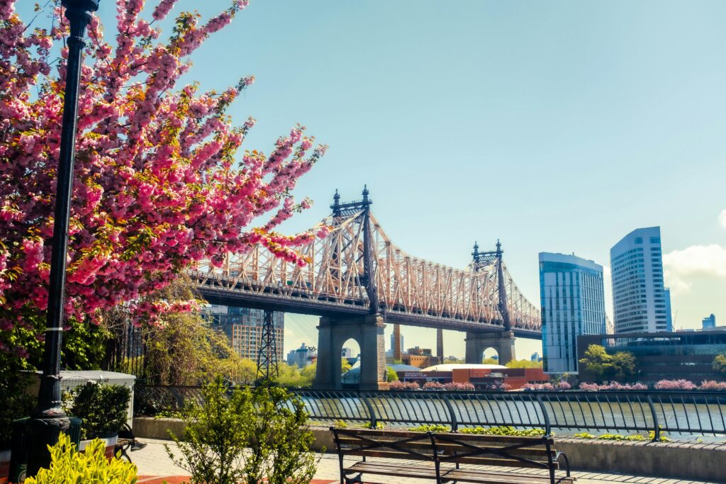 What is the real estate market outlook for Spring 2026 in New York?