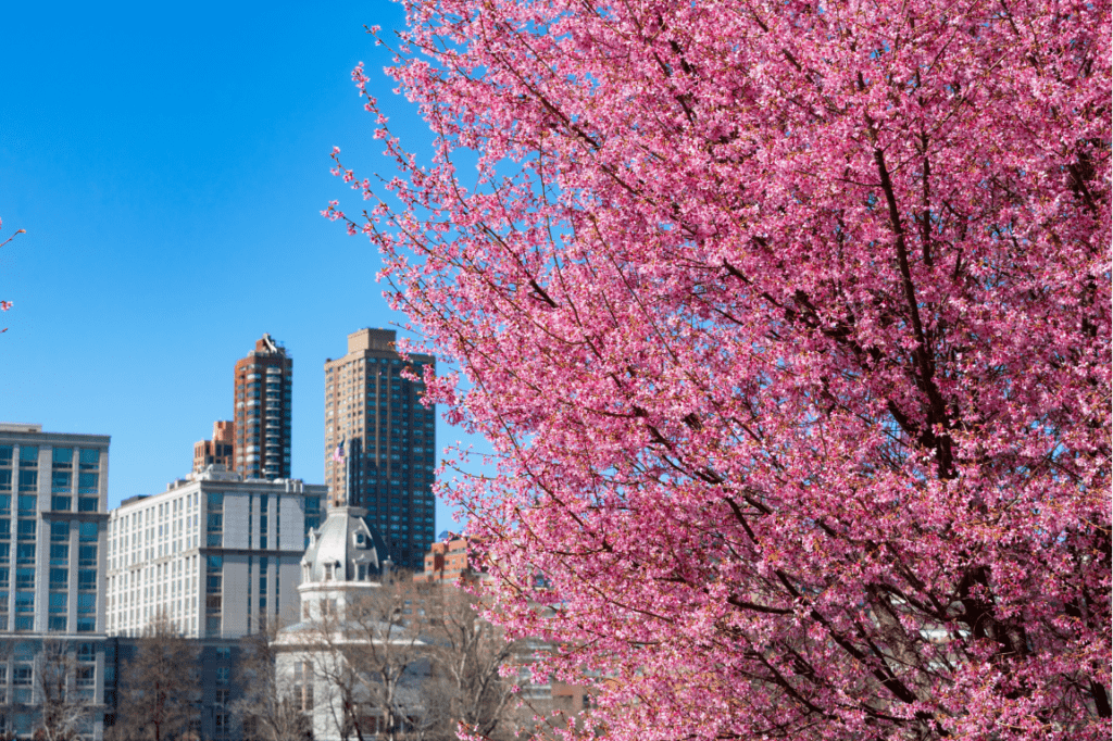 Spring is hitting its stride, making May the perfect 