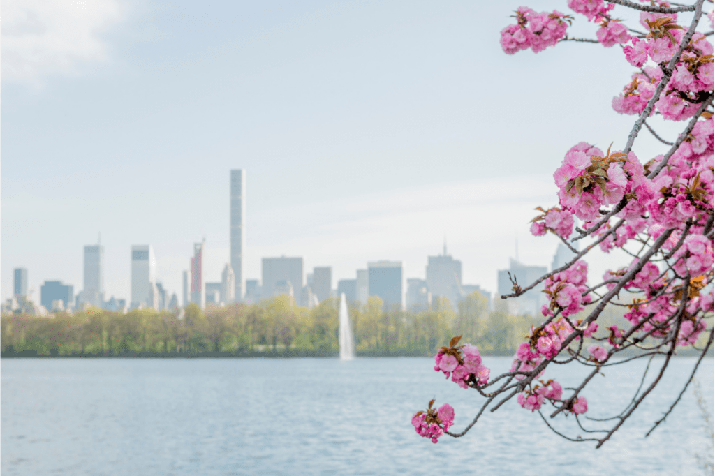 Here's your home maintenance checklist for April 2026. 
While we’re all enjoying the warmer New York breeze, April is the month to shift our focus to the 