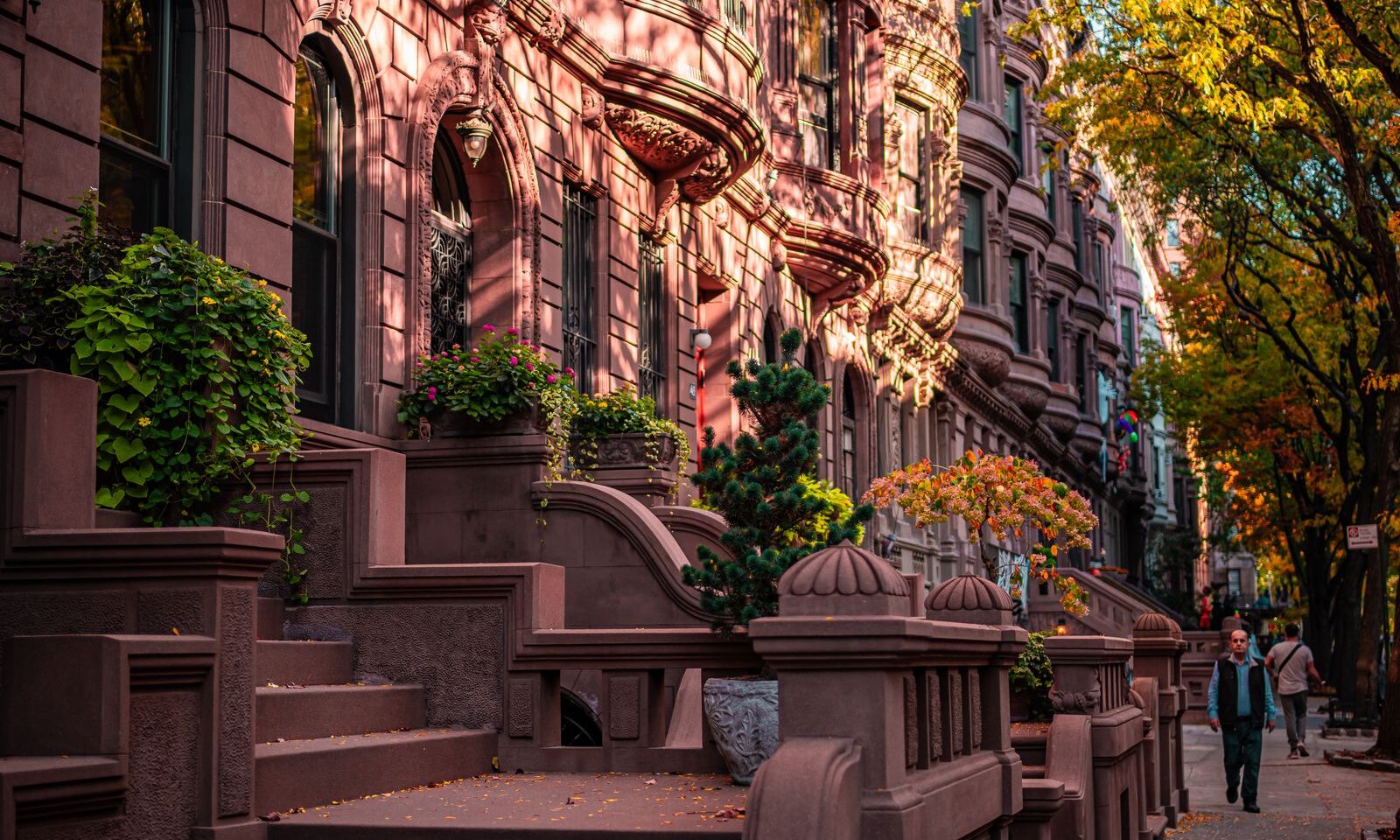 Historic brownstone townhouses with stoops on a tree-lined New York City street in autumn